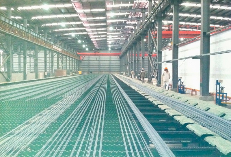 Jiangsu Shente Steel